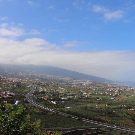 Marques Del Toscal Διαμέρισμα Λος Ρεαλέχος Εξωτερικό φωτογραφία